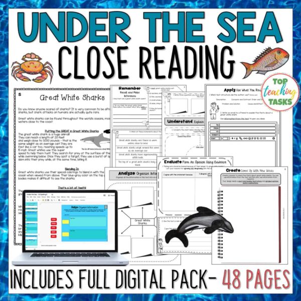 Ocean Animals Reading Comprehension