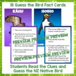 Native Birds Guess the Birds Cards