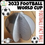2023 Football World Cup Fact Ball