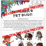 Addition-and-Subtraction-CSI-Maths-Challenge-Teachers-Pet-Bug-Year-2-4-a