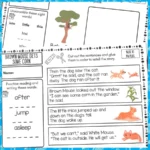 Blue-Level-10-Reading-Comprehension-Activities-d