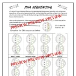 CSI-Forensic-Science-activities-e