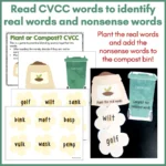 CVC-CCVC-and-CVCC-Plant-or-Compost-c