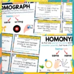 Homograph-and-Homonym-Task-Cards-c