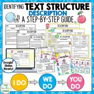 Description Text Structure Passages, Graphic Organisers and Posters