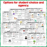 Independent-Literacy-Activities-Year-2-4-b