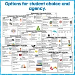 Independent-Literacy-Activities-Years-2-4-set-two-b