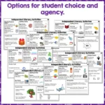 Independent-literacy-activities-year-2-4-set-four-b