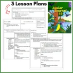 Junior-Journal-66-b