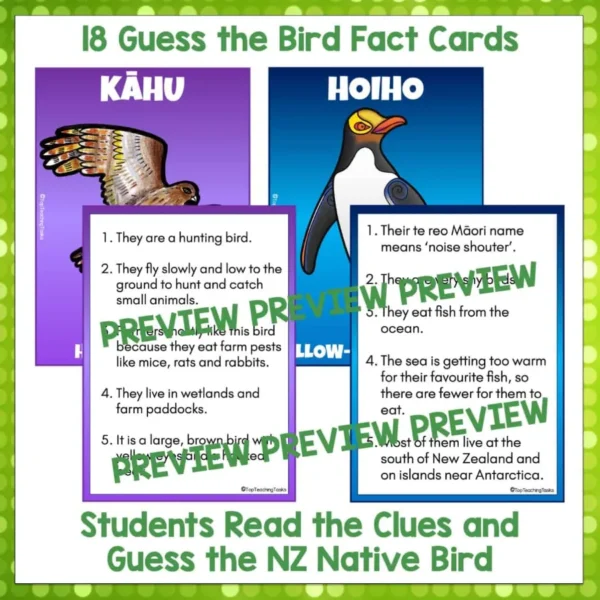 Native-Birds-Guess-the-Birds-Cards-1 Native-Birds-Guess-the-Birds-Cards-1