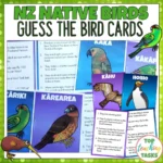 Native-Birds-Guess-the-Birds-Cards