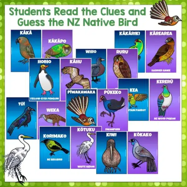 Native-Birds-Guess-the-Birds-Cards-2 Native-Birds-Guess-the-Birds-Cards-2