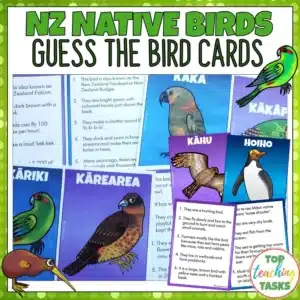New Zealand Native Birds Guess the Bird Cards