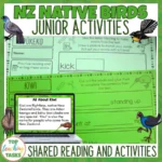 Native-Birds-Junior-Activities