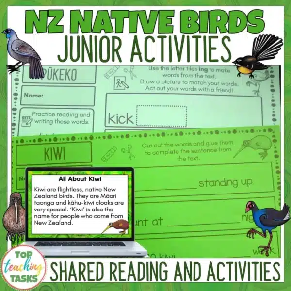Native-Birds-Junior-Activities