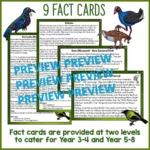 Native-Birds-Scavenger-Hunt-Volume-2-1
