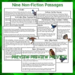 Native-Birds-Task-Cards-Volume-B-1