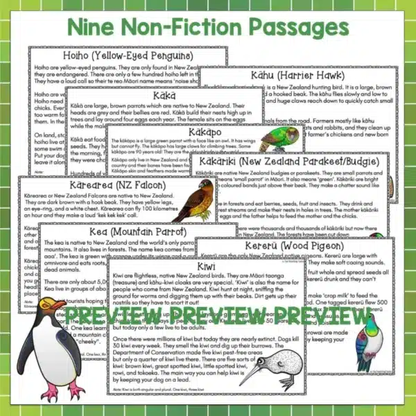New-Zealand-Native-Birds New-Zealand-Native-Birds