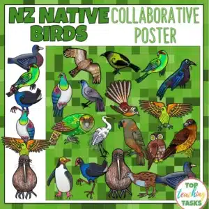 New Zealand Native Birds Collaborative Poster