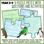 New-Zealand-Native-Birds-Reading-Comprehension-b