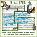 New-Zealand-Native-Birds-Scavenger-Hunt-Puzzle-Volume-One