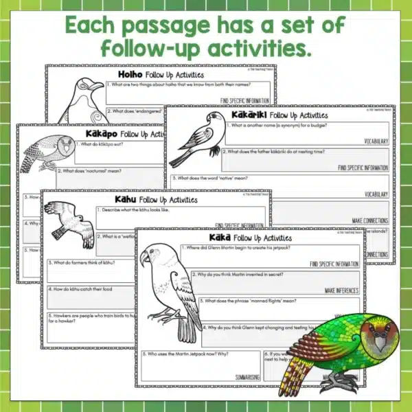 New-Zealand-Native-Birds-b New-Zealand-Native-Birds-b