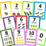 Numbers-0-10-New-Zealand-Themed-Flash-Cards-b