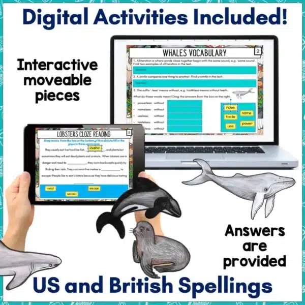 Ocean-Creatures-Reading-Comprehension-Activities-c Ocean-Creatures-Reading-Comprehension-Activities-c