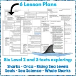 Ocean-and-Ocean-life-school-journal-set-1