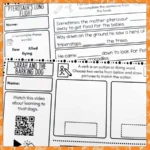 Orange-Level-15-Reading-Comprehension-Activities-d