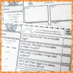 PM-Readers-Orange-Level-16-d