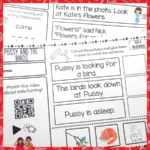 PM-Readers-Red-Level-4-d