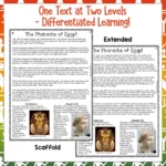 Pharaohs-Reading-Comprehension-1
