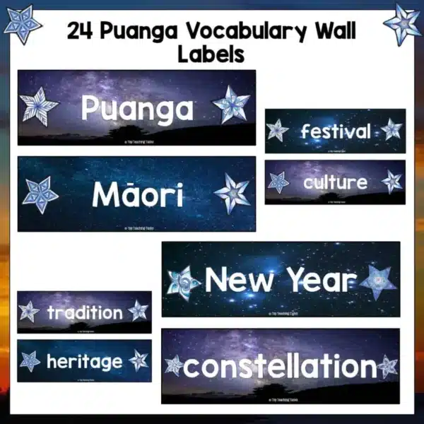 Puanga-Junior-Activity-Pack-b Puanga-Junior-Activity-Pack-b