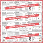 Ready-to-Read-Phonics-Plus-Big-Book-c