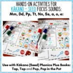 Ready-to-Read-Phonics-Plus-Kakano-Hands-On-Activities-Set-One-b