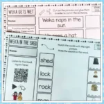 Ready-to-Read-Phonics-Plus-Kakano-Seed-Activities-3