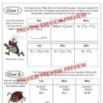 CSI Maths Activity: Teachers Pet Bug