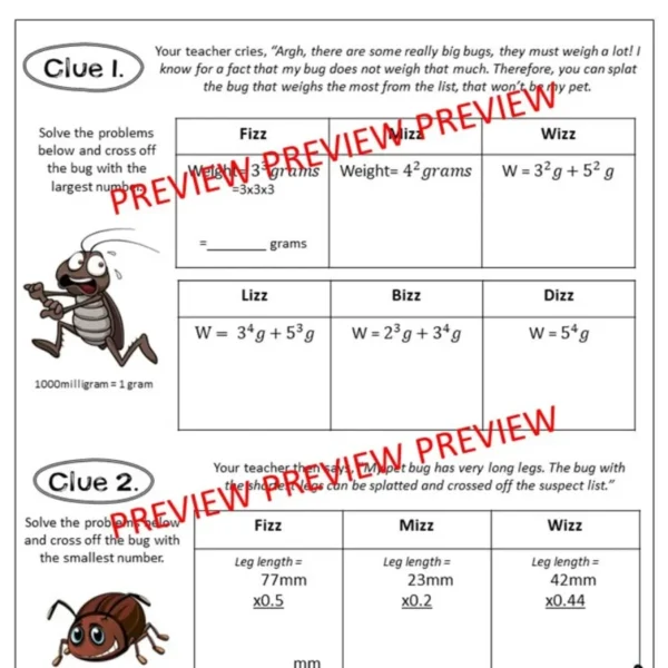 CSI Maths Activity: Teachers Pet Bug CSI Maths Activity: Teachers Pet Bug