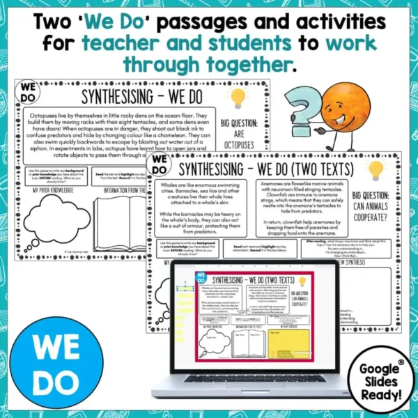 Synthesising-Reading-Activities-d Synthesising-Reading-Activities-d