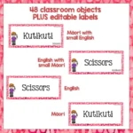 Te-Reo-Maori-and-English-EDITABLE-Classroom-Decor-Labels-1