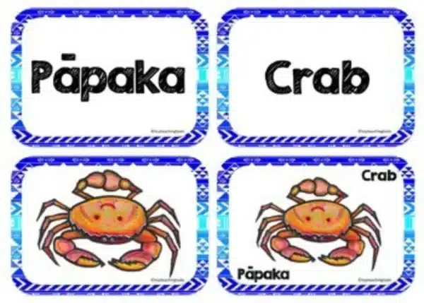 Te-Reo-Under-the-Sea-1 Te-Reo-Under-the-Sea-1