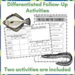 The-Eel-and-the-Flounder-b