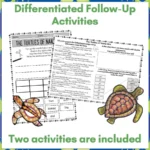 The-Turtles-of-Namu-Ana-2