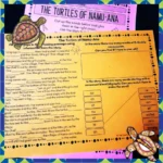 The-Turtles-of-Namu-Ana-3