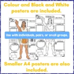Tupaia-Reading-Research-Poster-2