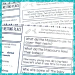 Turquoise-Level-18-Reading-Comprehension-Activities-d