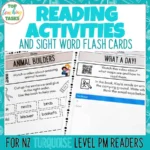 Turquoise-PM-Reading-Activities-1