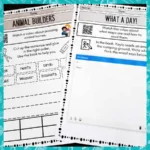 Turquoise-PM-Reading-Activities-4