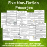 Under-the-sea-Reading-Comprehension